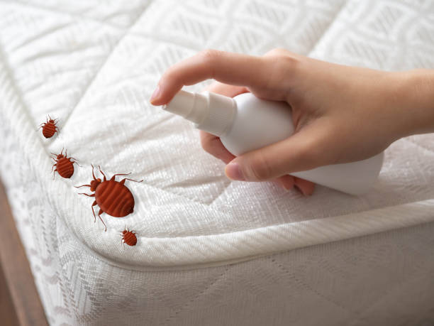 Best Emergency Pest Control  in USA